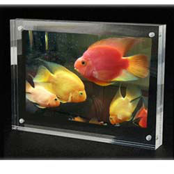 4R Acrylic Frame